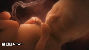 Medical sciences news highlights of 2012