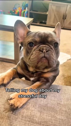 Can someone tell me if she’s alright 😂 | Kash Frenchie