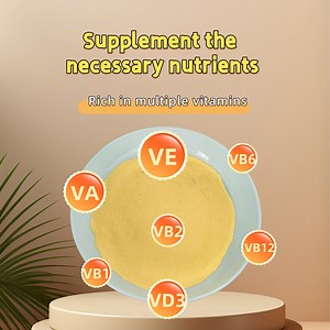 [Hot Item] Premix Feed Additives for Poultry Cattle Pig Fish Vitamins Feed Supplements Multivitamin