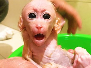 Cute Bibi comes home with a dirty face | Family BiBi