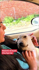 69K views · 5K reactions | Support at 8826257357 is pyaari se baache ne kuch kha liya hai jo theek nahi hai please keep supporting us and give blessings to us #puppy #puppies #puppylove #puppylovers #puppylife #dogmother #dogmom #dog #dogs #dogfood #doglife #doglover #doglovers #supportus #blessings #love #reels #viral #instareels #insta #instagram #fb #fbreels #fbreelsvideo #fbreelsfypシ゚viral | Bezubaanjaan1517 | Facebook