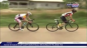 Tropical Amissa Bongo(Stage 3)