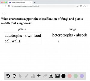 What characters support the classification of fungi and plants in different kingdoms? | Numerade
