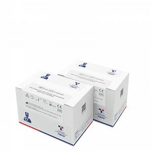 [Hot Item] Herpes Simplex Virus (HSV) II Nucleic Acid Detection Kit-P176H