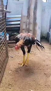 153K views · 3.8K reactions | #ARASUR KARTHI ANNA LINEAGE 7 MONTHS PATTA  | AKASH | Facebook