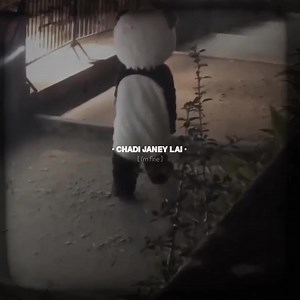 11K views · 878 reactions | Samjhana cha || Samir shrestha (slowed/reverb) | 홂홖홣황홖홗홮홖 | Facebook