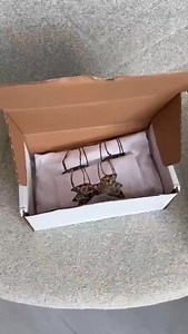 13K views · 105 reactions | Cauți un cadou perfect de Paște? Orielle Ediție Limitată: reduceri spectaculoase! Grăbește-te! #tricouriOrielle #cadouri #paste #IepurasuldePaste #iepuras | Orielle | Facebook