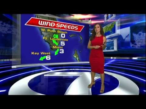 WSVN-TV 7NEWS Vivian Gonzalez hot red dress 8/5/2011