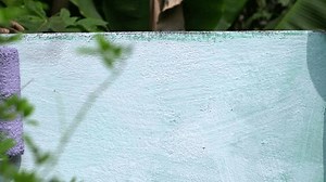 Peinture manuelle mur extérieur, construction et : vidéo de stock (100 % libre de droit) 3991384165 | Shutterstock