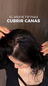 975K views · 5K reactions | !! YA LLEGO A CHIHUAHUA ✅ shampoo Bye Bye...