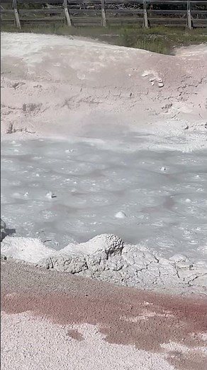 “Bubbling Mud” in Yellowstone NP