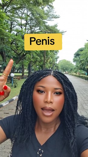 Understanding Male Anatomy: The Role of the Penis