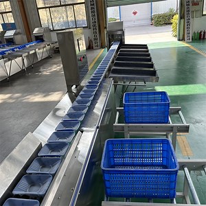 [Hot Item] Apple and Passion Fruit Weight Sorting Machine, Agricultural Machinery for Fruit Grading Machine