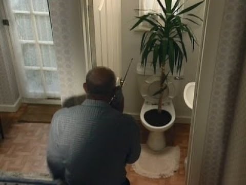 Victor Meldrew Finds A Yucca Tree in the Toilet! | One Foot In The Grave Series 4 - Episode 5