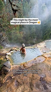 1.8K views · 21 reactions | Can you imagine a more magical...