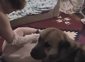 [ Caledonian NV - Bestiality amateur porn ] sabrinas first time