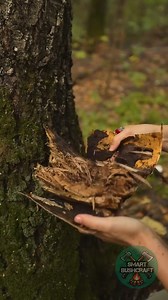 Don't go thirsty! DIY craft for a drink while camping #ASMR #shorts (1) | Fea BenideDieu