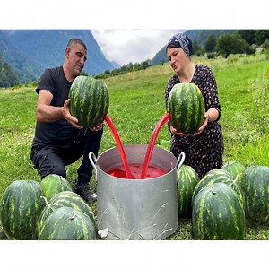 14K views · 524 reactions | The Special Summer Sweet Delicacies Made From Homemade Berries! Rustic Watermelon And Strawberry Jam. | Primitive Cooking | Facebook