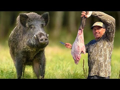 How to CLEAN , CAPE and QUARTER a *WILD HOG* from START to FINISH
