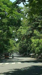 14K views · 478 reactions | Nasik Nature.. Guess which road it is ? | Yogesh Khare | Facebook