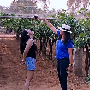 Big Banyan Wines on Reels