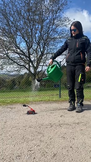 Ich durfte den Manitou ,,ULM 412 H,, testen. Klein kompakt und kraftvoll. Geiles Teil 😍. @schwabgmbh @manitou_deutschland #manitou #manitouulm412h #engelbertstrauss #sonnenbrille #kleinmittelgroß #mädchenfahrenmanitou #landwirtschaft | Agrar Emmy
