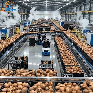 1.9M views · 10K reactions | From Raw Coconut to Creamy Coconut Milk | Inside the Factory | AI Buzz | Facebook