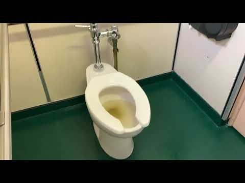 🚽 Bathroom tour: rare Sloan dolphin on American Standard toilet on a boat.