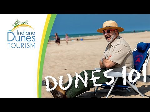 Where Are the Indiana Dunes Beaches | Dunes 101: Beach Experience
