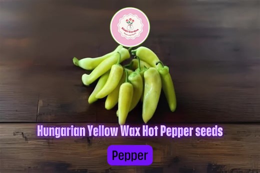 Hungarian Yellow Wax Pepper Seeds – 4x300mg Packs – Hot Heirloom Peppers for Pickling, Cooking, or Fresh Eating – Easy to Grow - Etsy