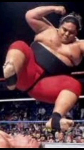 Yokozuna – Japan’s Ultimate Warrior#TraditionAndHonor #JapaneseRituals #YokozunaStory #JapanHistory