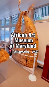 3.5K views · 15 reactions |  @letshavefuninmd The African Art...