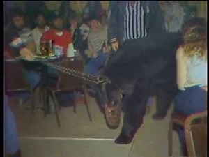 Wrestling Bear vs. Mississippi Rednecks (1987)