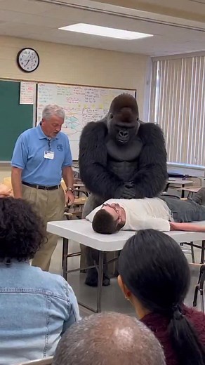 why did I sign up for this? | Ricky Berwick