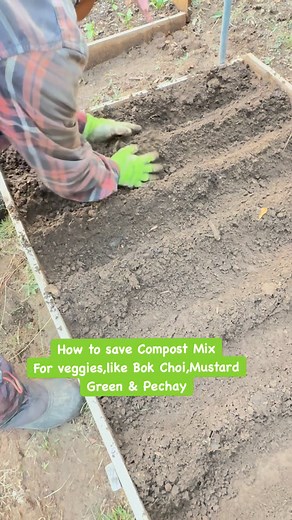 How to Save Compost Mix For Bok Choi,Mustard Greens & Pechay,those are less roots it can survive in shallow garden beds #compost #veggies #GardeningTips #garden #everyonefollowers | Josephine M Cook