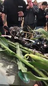 Broyeur du bled 😂😂😂🏁 #turbo #diy #batlescouilles | Gas Guzzlerz