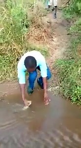 Oh Africa. | The facts