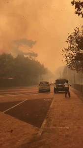 4.1K views · 27 reactions | Cape Town Fire Fighters battling massive Fire on the Mountain. All EMS services are on scene and working hard to bring it under control. The winds are picking up and the fire is spreading quickly. | Suburban Control Centre | Facebook