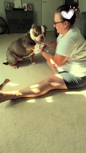 bruno puppy dog on TikTok