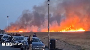 Wirral marshland fire: Reedbed will take two years to recover