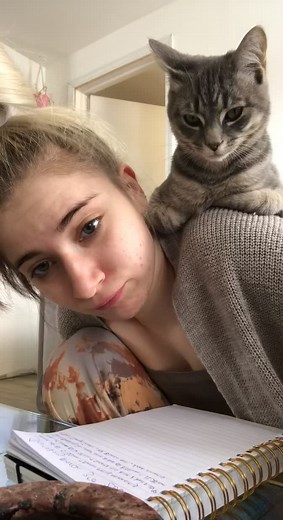 Yes Pigeon still likes shoulder rides at his big age 💕 #pigeon #catsoftiktok #annoying