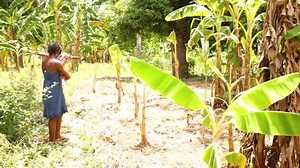 Dema twòp pou tè 😂😂😂 | Dema Gran Jipon