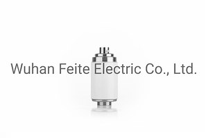 [Hot Item] 3.6kV Vacuum Interrupter/Vacuum Arc Extinguishing Chamber/Bottle for Vacuum Contactor