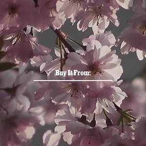 Order  1 Gram Gold - Owel Shape Artisanal Design Gold Plated Chain for Men - Style B382  at ₹3500.00 from https://bit.ly/32UAAhZ #instagram #grunge #necklaces #diamonds #onegramgold #likeforlikes #chains #fashion #instagood #design | Soni Fashion Jewellery & Accessories for Men | Facebook