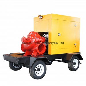 [Hot Item] Agricultural Irrigation Diesel Engine Split Case Centrifugal Water Pumps