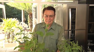 Canal Andre Resende on Reels