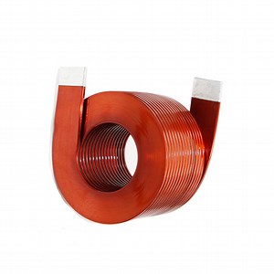 [Hot Item] 5uh Choke Air Coil