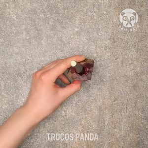 27K views · 64 reactions | Cómo sembrar flores en tu hogar y más técnicas de jardinería  | Escuela Panda | Facebook