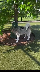 Beauties and Beasts, Inc. on Reels