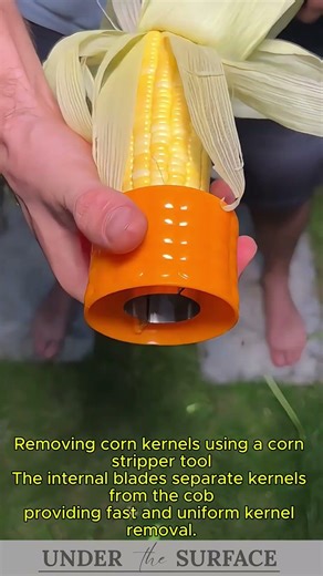 Corn Stripper Tool in Action